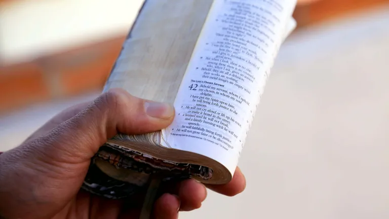 Though Christians may be poor in this world, it is God’s will to eventually eliminate poverty. The Bible speaks in much detail of a coming time of peace and prosperity on earth when poverty will be wiped out. A man holding a Bible in his hand.