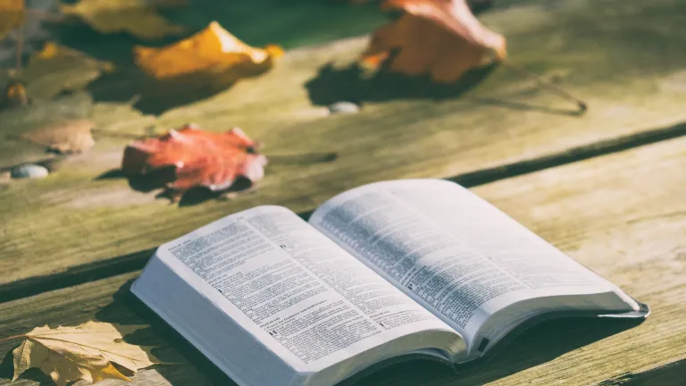 Throughout the entire Bible, sexual violence—including rape, assault and harassment of either women or men—is outlawed and condemned. Our loving Father will bring about a future Kingdom that is free from these evil acts. An open laying on a table outside.