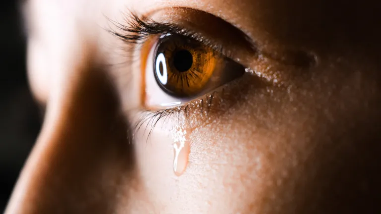 Te great hope of eternity is discovered in Revelation 21:4: “And God will wipe away every tear from their eyes; there shall be no more death, nor sorrow, nor crying. There shall be no more pain, for the former things have passed away.” A tear dripping from a person's eye.