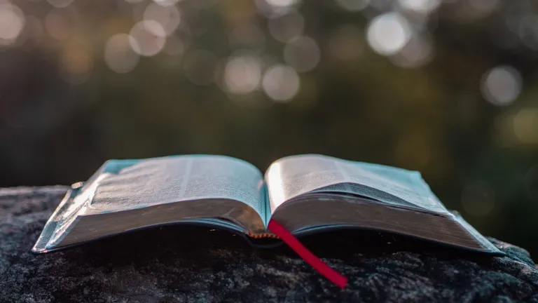 An open Bible laying on a rock.
