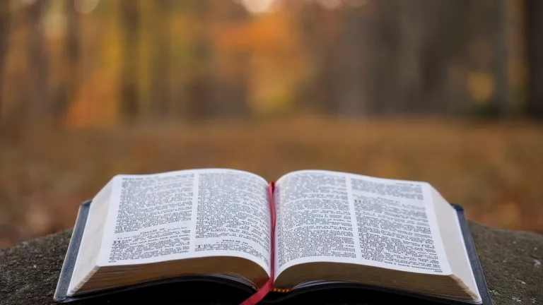 God’s law was given to mankind for humanity’s own good and benefit. An open Bible laying on a table.