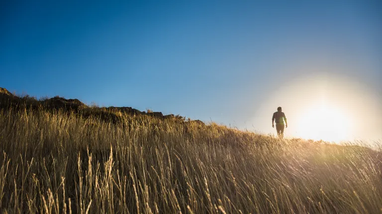 A man walking up a grassy hill with the bright sun in the background.