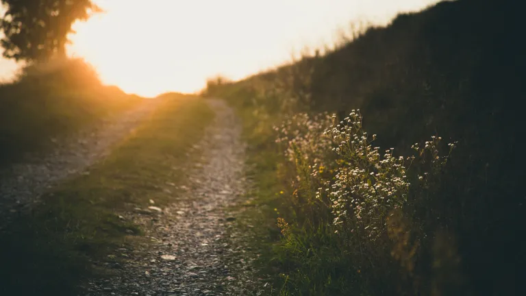 A rocky path with sunrays at the end.