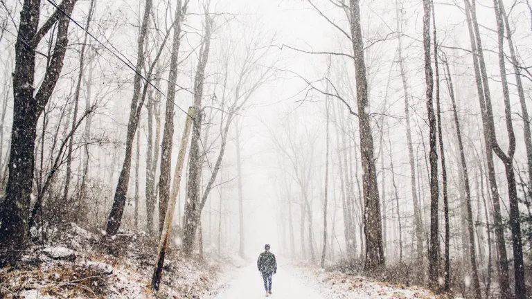 A person walking on a path in the woods covered with snow.