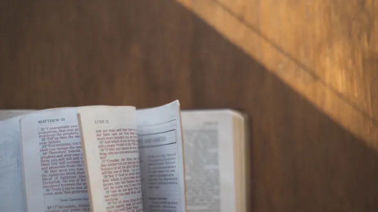 Many of the New Testament writers were eyewitnesses to the life and miracles of Jesus Christ. An open Bible.