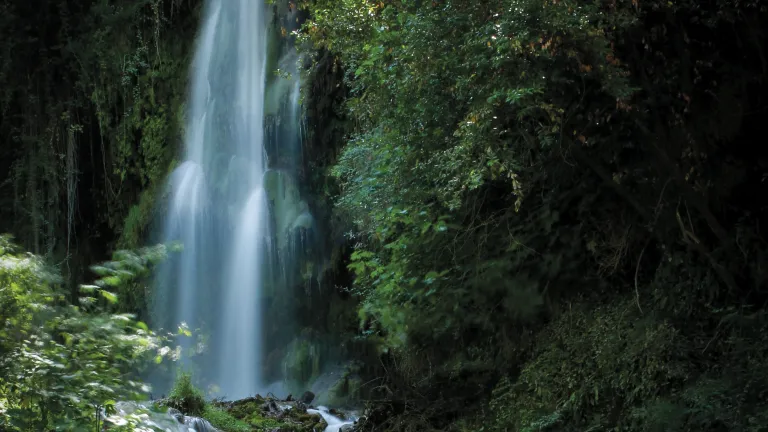 Those of us who have received God’s Spirit after repentance and baptism can apply its power in our hearts and minds to generate spiritual fruit. Photo of waterfall in a forest.