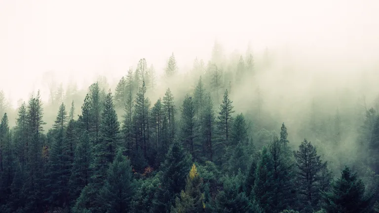 Lost in the Mountains Without a Compass
