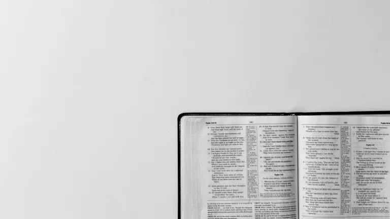 Compass Corner Summer 2020