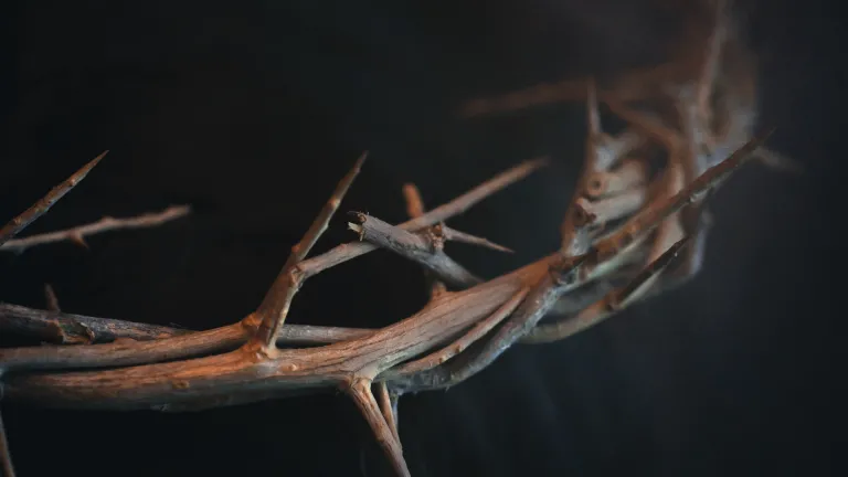 The One who was born Jesus of Nazareth was the One who interacted with the patriarchs, prophets and people of Israel as the Lord or God on behalf of God the Father. Crown of thorns.