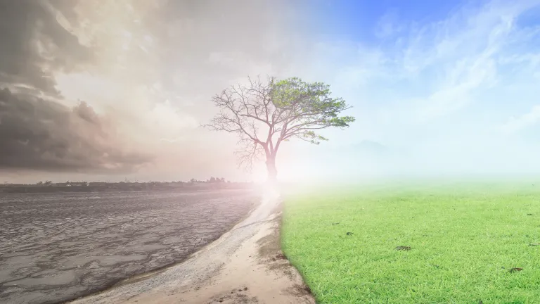God’s reset will bring the abolition of war! However, this lasting worldwide peace is only the beginning of the wonderful story. An photo illustration of dry desolate ground becoming green and dead tree growing leaves.