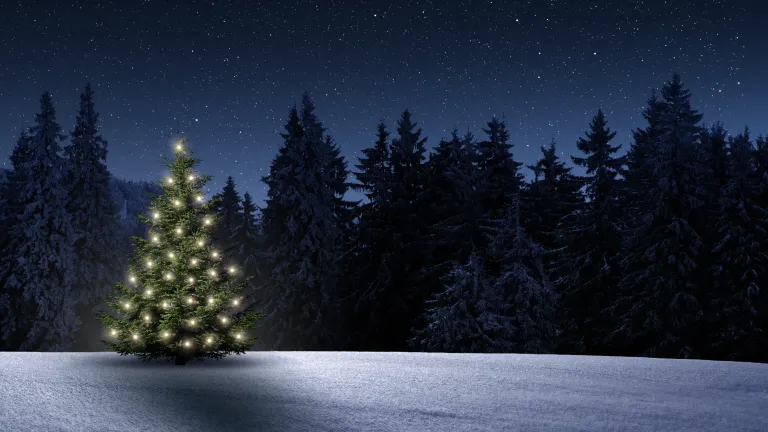 A christmas tree with lights in a snowfield.