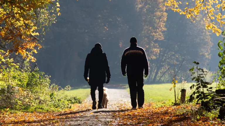 Two people walking on a path in the woods.