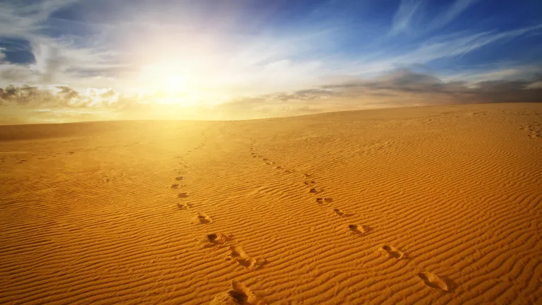 Footprints in the sand.