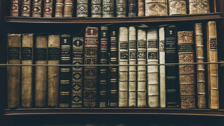 Shelf of old books.