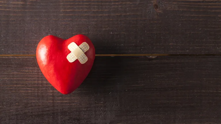 Letting Your Father Wound Heal Article Image - Compass Check Summer 2022