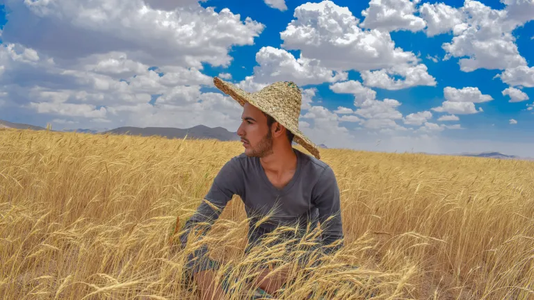 Boaz trusted God and His will for his life. A man wearing a straw hat sits in a grain field under a blue sky dotted with clouds.
