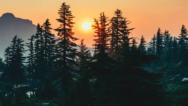 Beyond the horror and hardship of human government today, this is the wonderful future mankind has to look forward to—a world of peace, purpose and plenty under the loving rulership of God the Father through Jesus Christ. A peaceful scene with trees, mountains and the setting sun.
