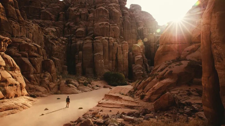 How could Christ be our example if He wasn't human and therefore wasn't tempted exactly as we are? This is why He had to be tempted in every way as we are. A man walking in the desert.
