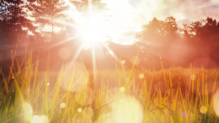 While human hope is a wish for something without the certainty of fulfillment, the hope God furnishes will never leave people disheartened. Sunrays through a field.