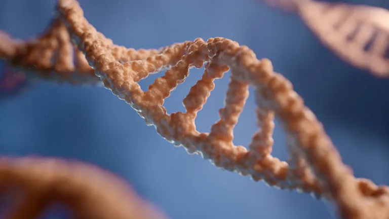 Adaptation comes mostly from preexisting genetic switches in the cell—demonstrating design, not evolution. Microscopic view of DNA strand.