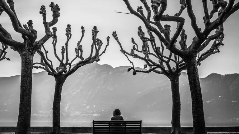 A person sitting on a park bench in between two trees.