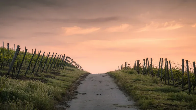 Keep taking these four steps as you walk in faith towards God’s perfection beyond our strategies in heeding the Master’s call of “Follow Me.” A path that disappears over the horizon unsure of where it will go or end.