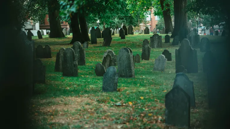 a green field filled with tombstones and shaded by trees