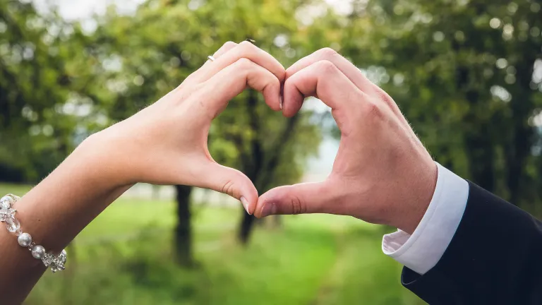 a woman's hand and a man's hand joined to make a heart shape with a green field and trees in the background