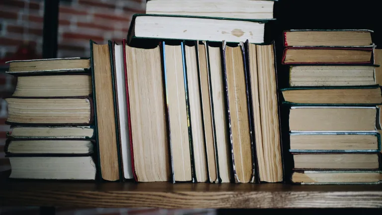 several books stacked on a wooden shelf