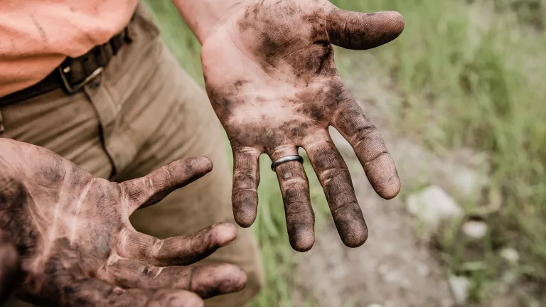 A man's dirty hands from working in the dirt.