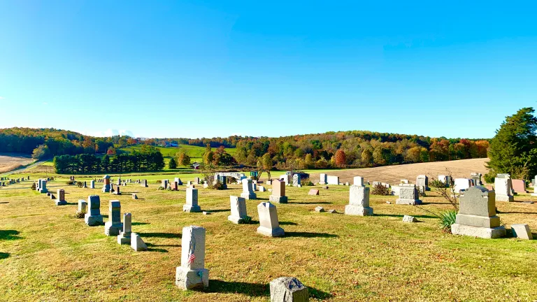 a cemetary filled with to,bstones