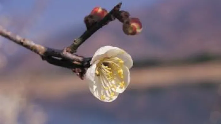 A Lesson in Due Season