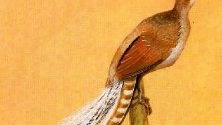 A Personal Experience of Prayer