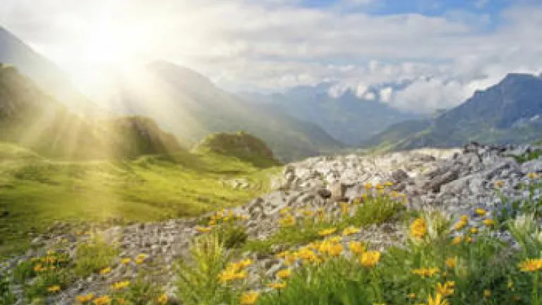 After the Chaos: the Times of Refreshing