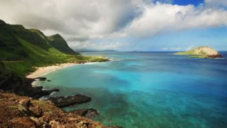 An Open Letter to Singles