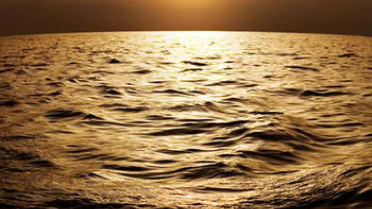 Bible Mini-Study: The World Will Learn God's Law