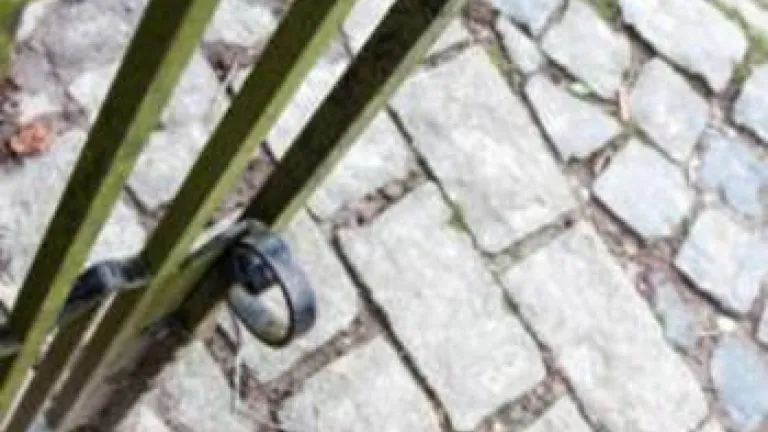 Narrow gate - Called, Chosen and Faithful