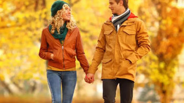 A man and woman holding hands walking in a park in the fall.