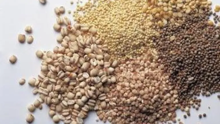 Coming Food Crises Threaten Mankind