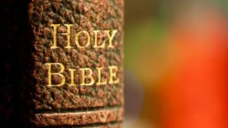 Corruption and Despotism Cry Out for the Coming Kingdom of God
