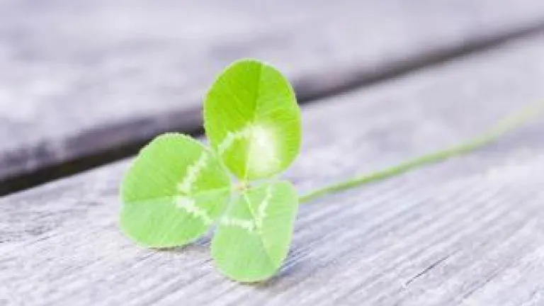 Do You Feel Lucky Today? Do You Feel Lucky Today?