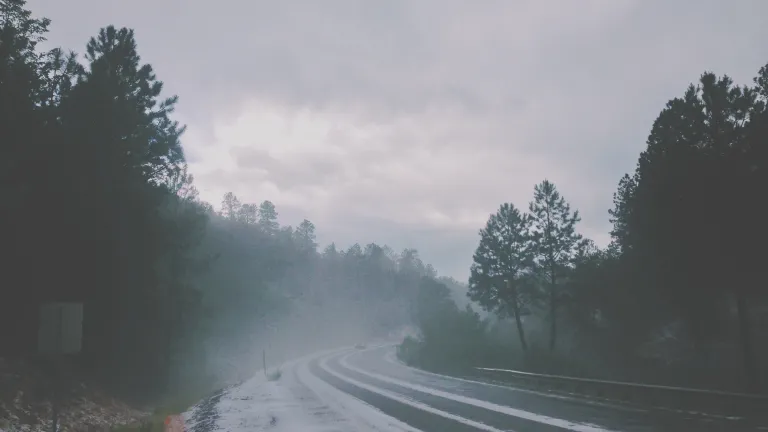 Why is it so hard for mankind to see and to admit that we are not the same as all the rest of creation? A snow covered road.