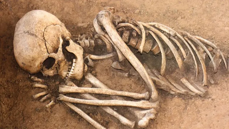 Much of God’s revelation to Ezekiel revolved around the distant decendants of Israel and crucial, end-time events centuries in the future. The remains of human bones in a dirt grave.