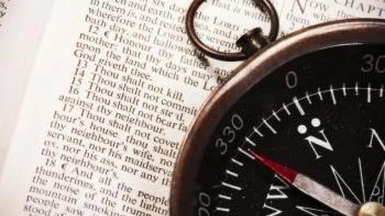 Forward: Factual Foresight of Fictitious Hindsight?