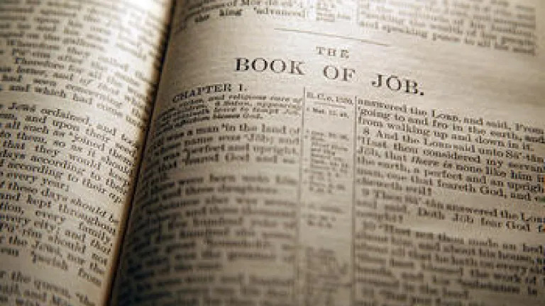 The Book of Job