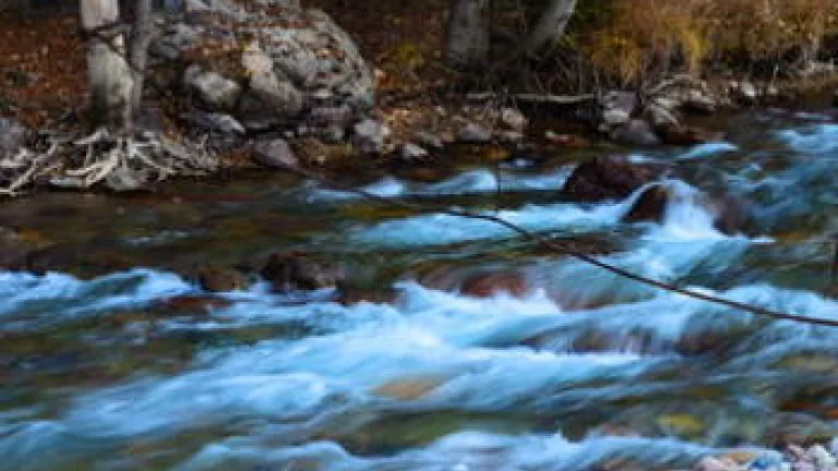 From the Council: Pressing Towards the Prize of the Upward Call From the Council: Pressing Towards the Prize of the Upward Call