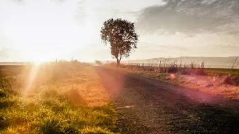 From the Psalms: In Your Presence is the Fullness of Joy In Your Presence is the Fullness of Joy
