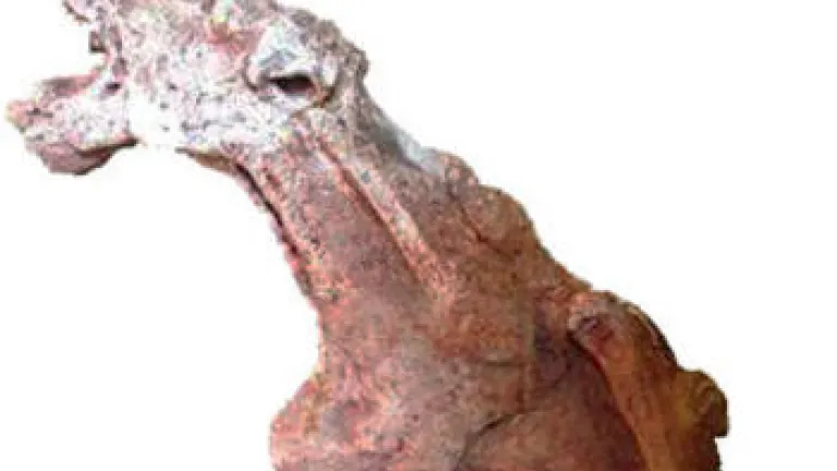 Gargoyles, Ghouls, Ghosts and Goblins?