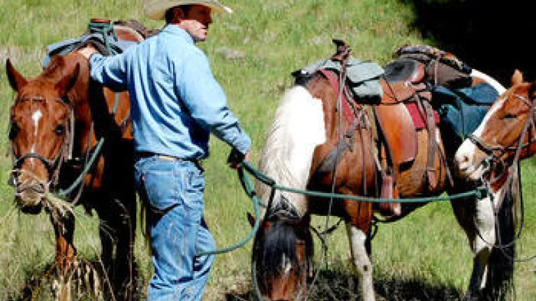 God and Cowboys cowboy with horses