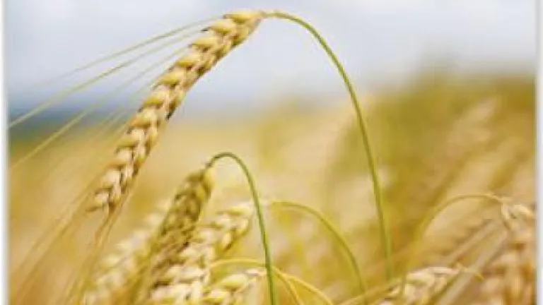 God's Feasts Answer the Big Questions - Part 2